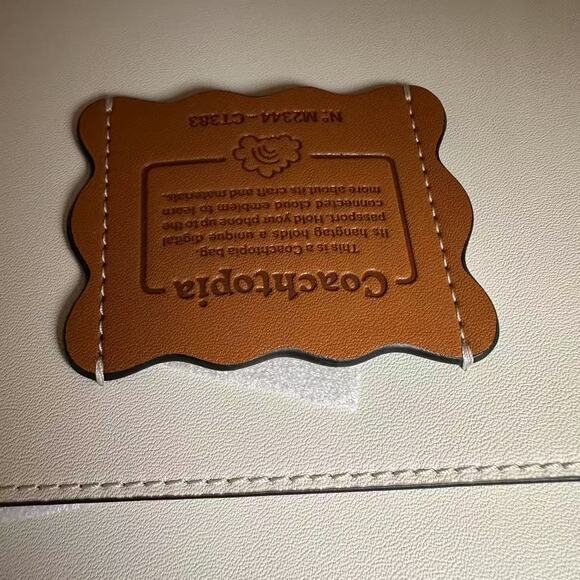 Coach Cloud Handle Tote Crossbody In Coachtopia Leather Chalk Rainbow CT383 NWT - Picture 9 of 13